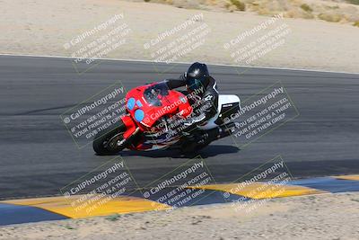 media/Feb-04-2023-SoCal Trackdays (Sat) [[8a776bf2c3]]/Turn 6 Inside (1025am)/